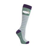 Hy Equestrian Gallant Goat Socks (Pack of 3) Purple/moss 4 - 8 Riding Socks