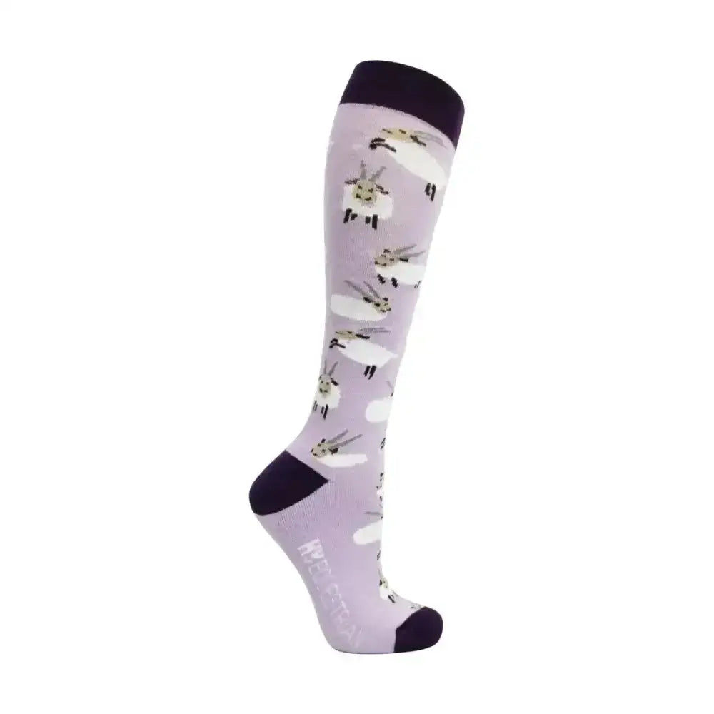 Lavender gallant goat socks with playful white and beige sheep pattern and black trim perfect fun goat socks for equestrians