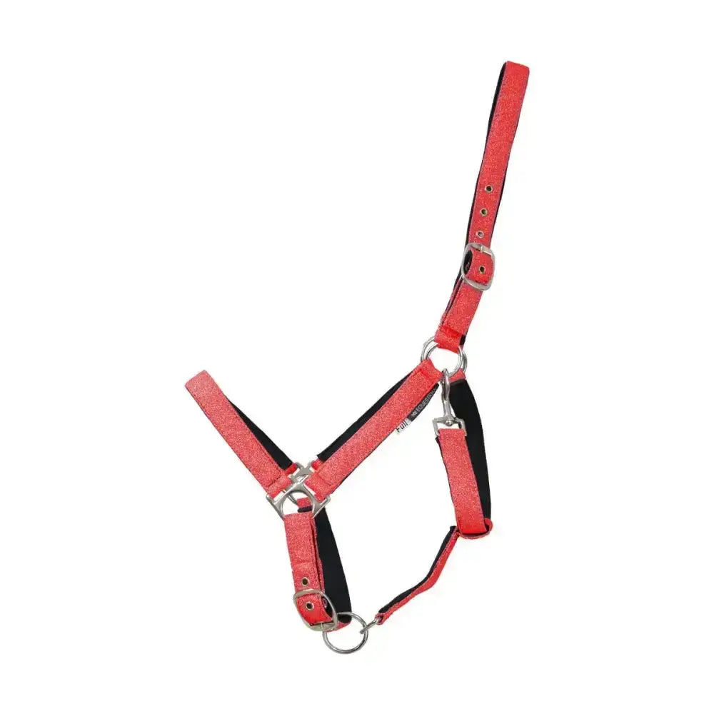 Red glittery equestrian glitzy headcollar with black lining and silver hardware for a funky head collar look