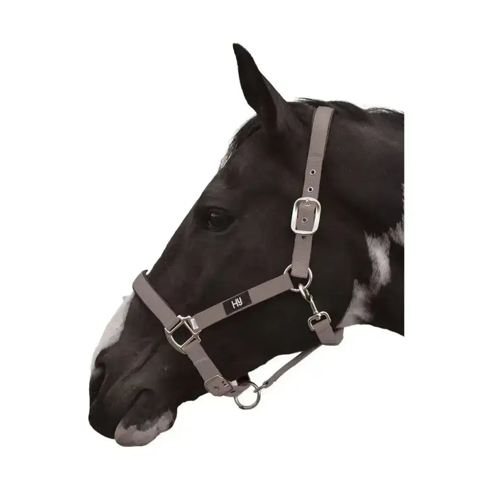 Gray leather equestrian grand prix head collar with silver buckles and adjustable nylon webbing hardware