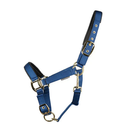 Blue woven nylon equestrian grand prix head collar with black padded lining and gold hardware adjustable nylon webbing