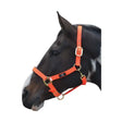 Bright orange leather equestrian grand prix head collar with gold hardware and small black brand tag