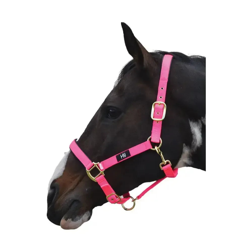 Hy Equestrian Grand Prix Head Collar Hot Pink Pony Headcollars