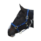 Blue leather equestrian grand prix head collar with gold-tone buckles and adjustable nylon webbing hardware
