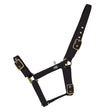 Hy Equestrian Holly Fully Adjustable Head Collar Black Pony Headcollars