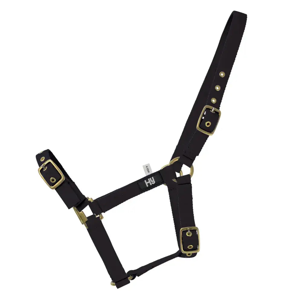 Black fabric horse halter with brass buckles hy equestrian holly fully adjustable practical everyday head collar