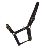 Black fabric horse halter with brass buckles hy equestrian holly fully adjustable practical everyday head collar