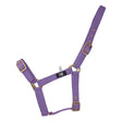 Purple nylon hy equestrian holly fully adjustable head collar with gold-tone buckles and d-rings practical everyday head