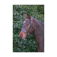 Hy Equestrian Hunter Bridle with Rubber Grip Reins Black Cob Cavesson Bridle