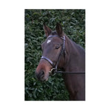 A dark brown horse wearing a quality leather hy equestrian hunter bridle with light purple color and rubber grip reins