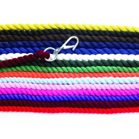 A vibrant multicolored braided equestrian lead rope 1.8 metres with a silver metal hook for easy handling