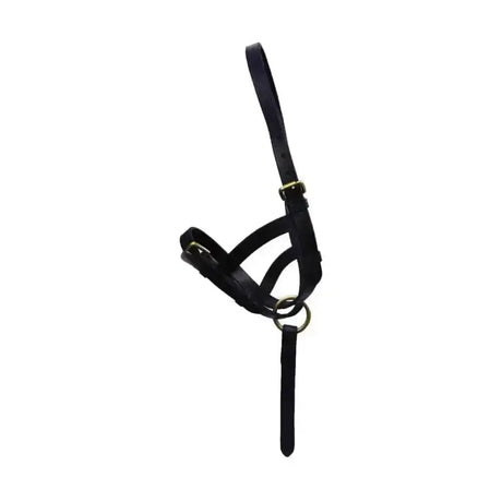 Black leather foal slip with solid brass fittings and metal ring from hy equestrian leather foal collection