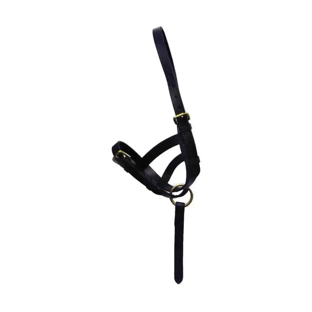 HY Equestrian Leather Foal Slip Brown Medium Headcollars & Leadropes Barnstaple Equestrian Supplies