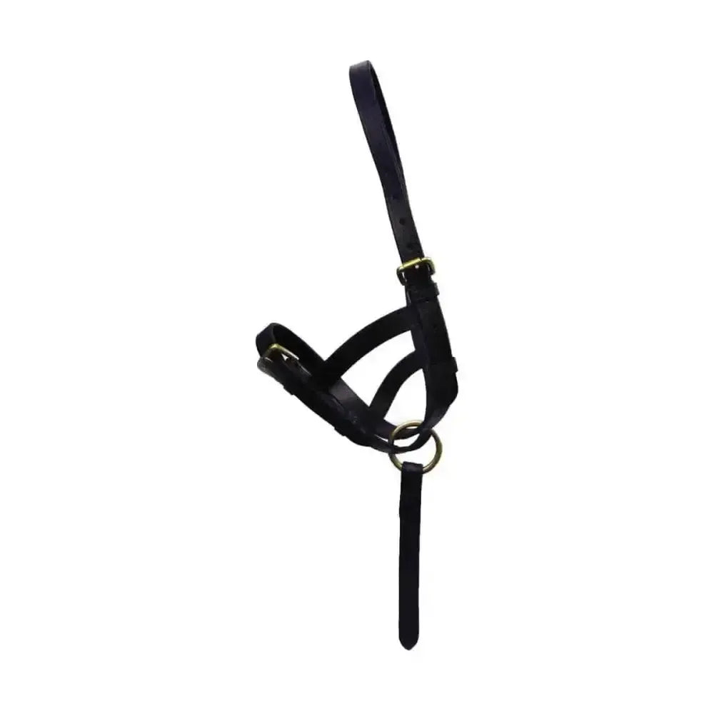 HY Equestrian Leather Foal Slip Brown Medium Leather Headcollars