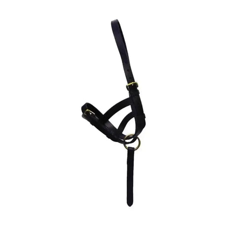 HY Equestrian Leather Foal Slip Brown Medium Leather Headcollars
