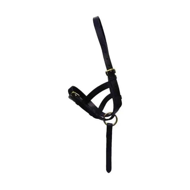 HY Equestrian Leather Foal Slip Brown Medium Leather Headcollars