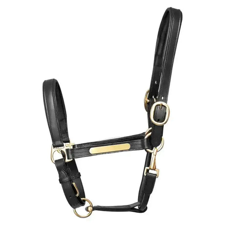 Black leather leather head collar with gold hardware and a rectangular nameplate from hy equestrian quality head collar