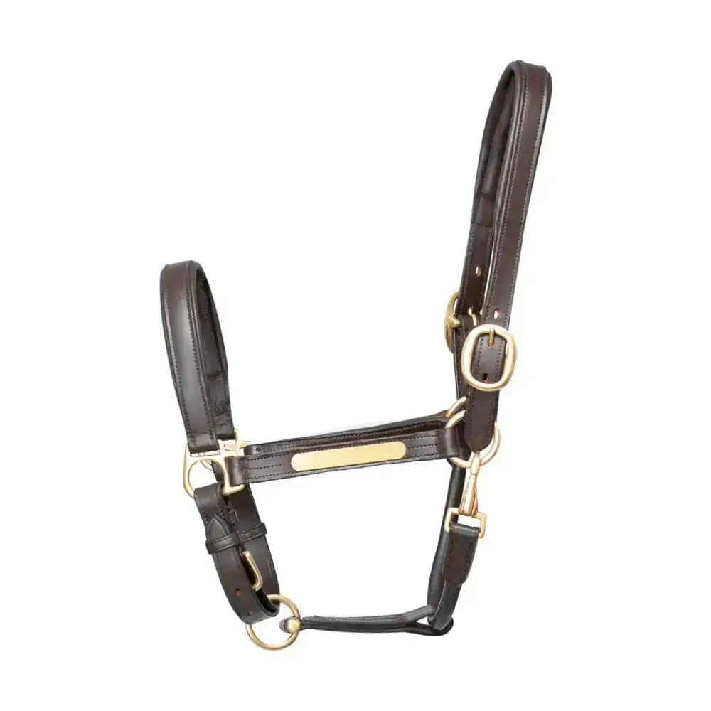 Dark brown leather head collar with gold hardware and brass plate by hy equestrian quality head collar