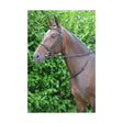 Brown horse wearing a high-quality equestrian leather neck strap with sturdy leather neck band and silver hardware