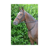 Brown horse wearing hy equestrian high-quality leather neck strap with sturdy black leather band and silver hardware