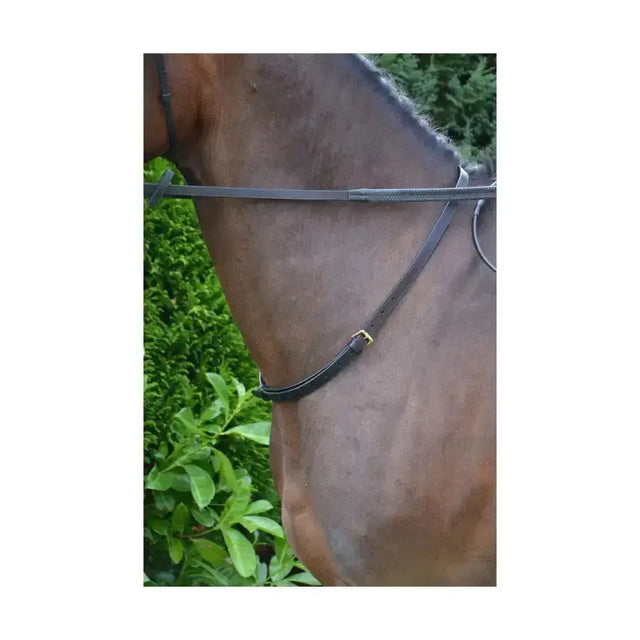 Black leather horse bridle with gold buckle showing a high-quality equestrian leather neck strap by hy equestrian