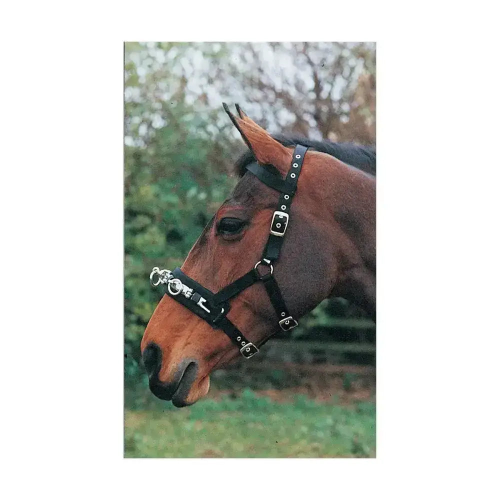 Black leather hy equestrian lunge cavesson with silver strong metal nose buckles and wide polypropylene web