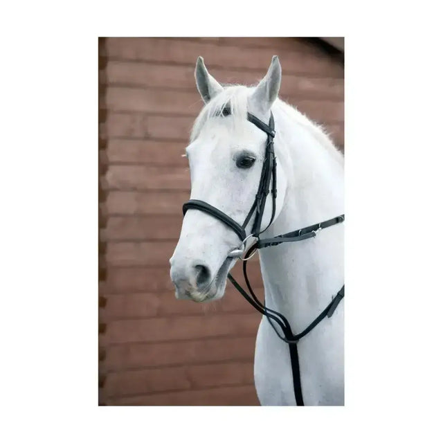 A sleek black leather horse bridle with silver hardware fitted on a white horse from hy equestrian market harborough
