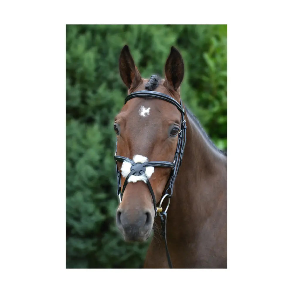 Hy Equestrian Mexican Bridle with Rubber Grip Reins Black X Small Mexican Bridle