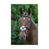 A brown horse wearing a quality equestrian mexican grackle bridle with black leather and decorative white floral noseband