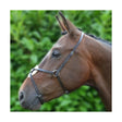 Black leather Hy Equestrian Mexican grackle horse bridle with silver metal grackle nose band hardware
