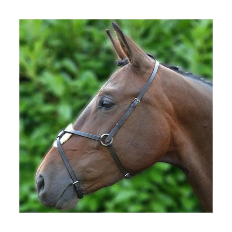 Black leather equestrian mexican grackle nose band with silver metal hardware from hy equestrian