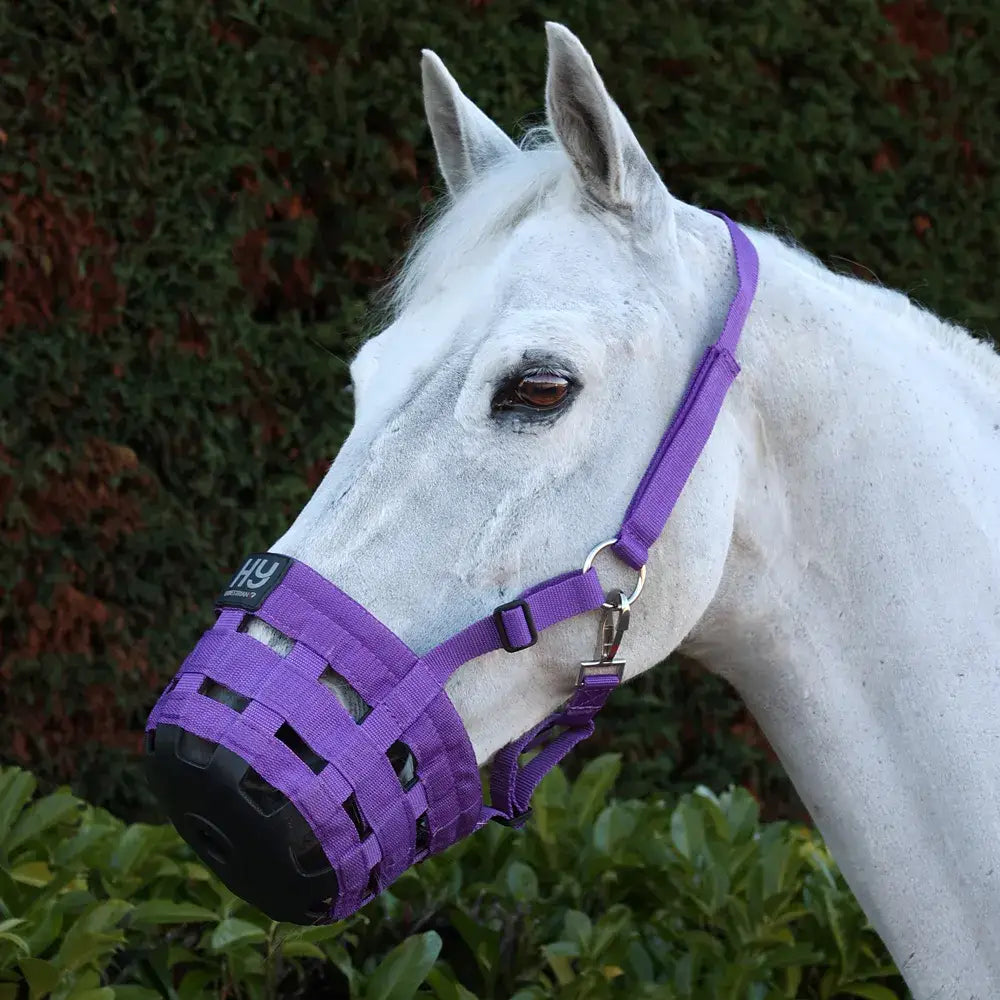 Purple woven nylon equestrian muzzle with black nose guard and adjustable straps designed as a grazing muzzle