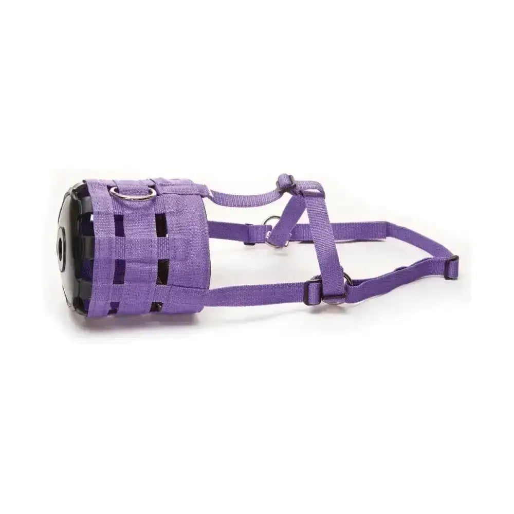 Purple woven nylon muzzle designed by hy equestrian with adjustable straps and black plastic front panel for grazing