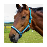 Bright blue equestrian mystic head collar with white reflective stripes and silver metal hardware for horse’s wardrobe