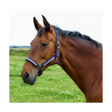 A navy blue equestrian mystic head collar with white reflective stripes and silver metal hardware for your horse’s wardrobe