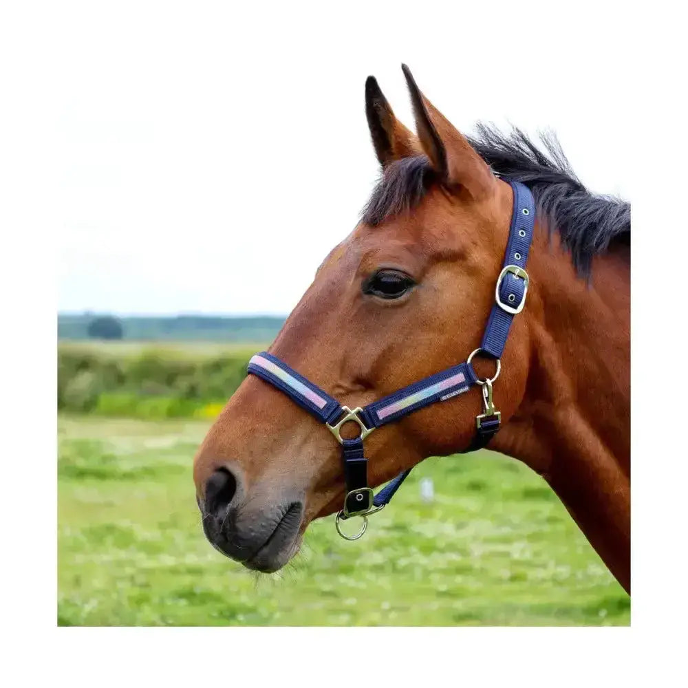 Navy blue hy equestrian mystic head collar horse halter with silver hardware and light purple stripes for horse’s wardrobe