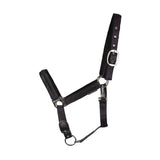 Hy Equestrian Mystic Head Collar Purple/midnight Dust Cob Headcollars