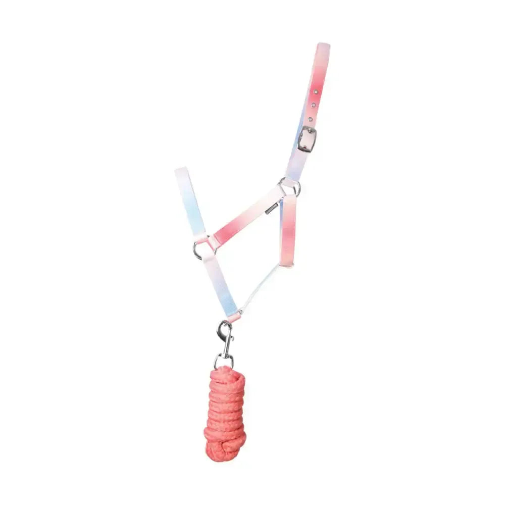 Hy Equestrian Ombre Head Collar & Lead Rope Coral/Blue Cob Headcollar Sets