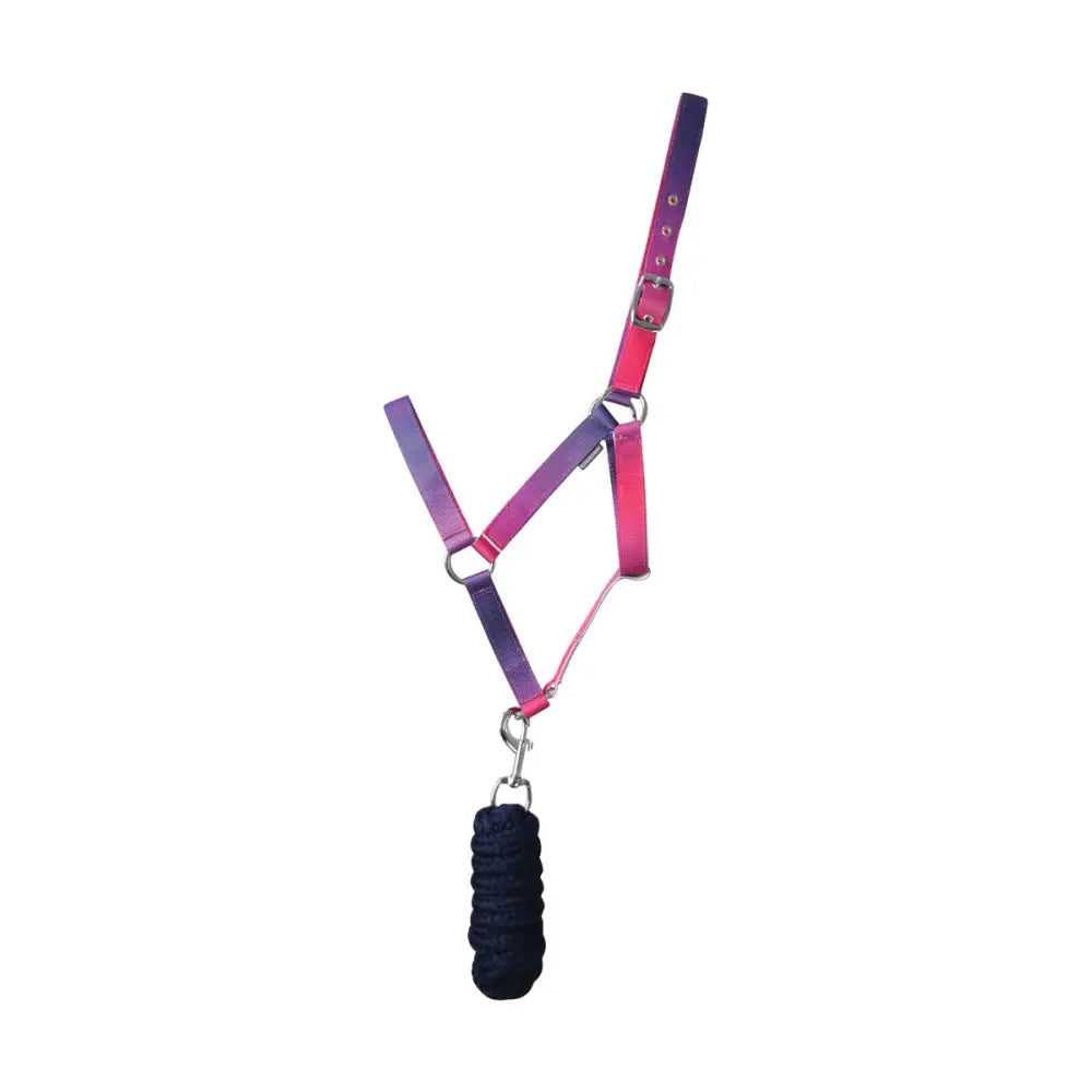 Hy Equestrian Ombre Head Collar & Lead Rope Pink/Purple/Navy Cob Headcollar & Lead Rope Barnstaple Equestrian Supplies