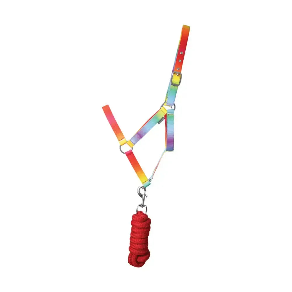 Hy Equestrian Ombre Head Collar & Lead Rope Rainbow Cob Headcollar Sets