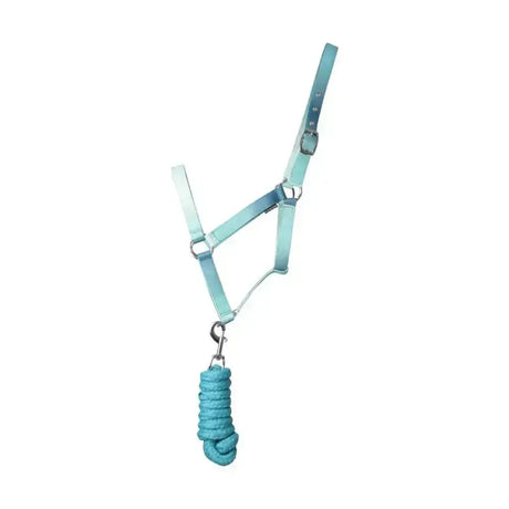 Light blue gradient leather ombre head collar and matching coiled lead rope by hy equestrian for riding use