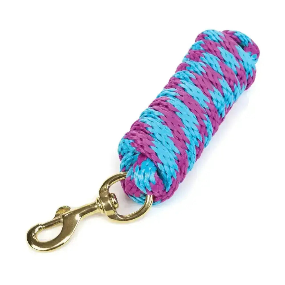 Hy equestrian pro lead rope coiled with vibrant blue and purple stripes and brass clip for ultimate pro lead use