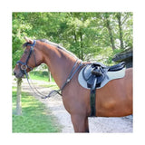 Brown horse wearing a black leather saddle and bridle with hy equestrian pro reaction close contact saddle pad
