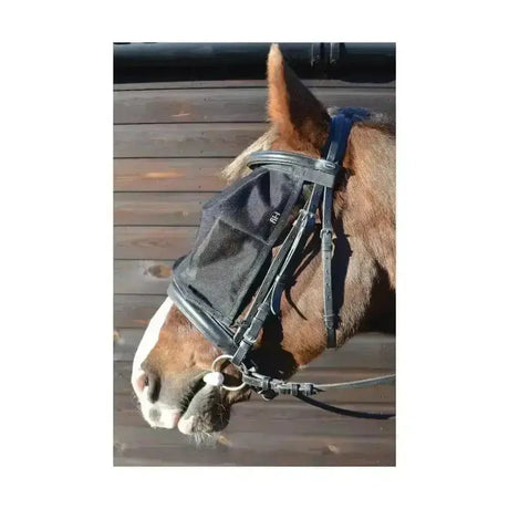 Black mesh HY Equestrian riding fly mask with adjustable straps and logo to keep frustrating flies spoiling rides away