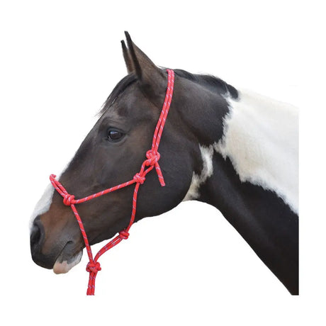 Hy Equestrian Rope Halter Black Cob/Full Rope Headcollars Barnstaple Equestrian Supplies