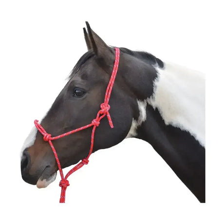 Bright red hy equestrian rope halter with reinforced knots and sturdy braided nylon that tightens slightly for control