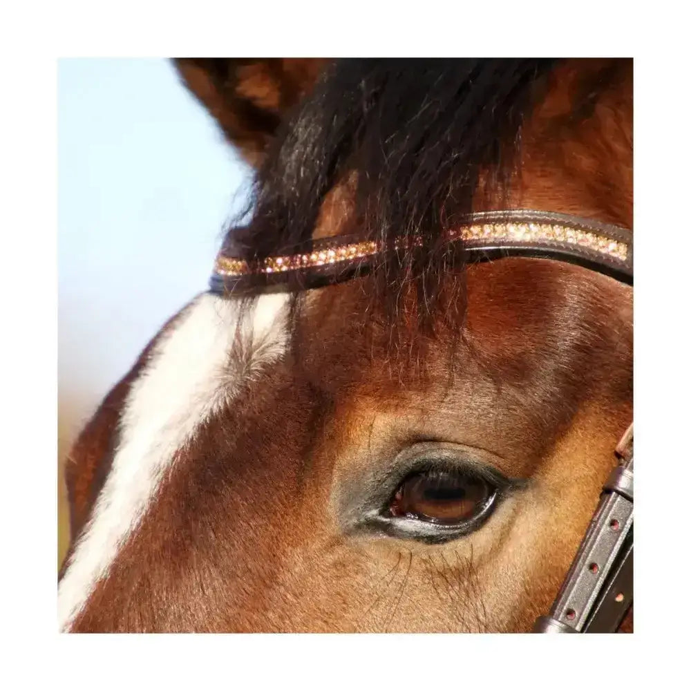 A brown horse wearing a hy equestrian rosciano rose gold brow band with rose gold diamante embellishments