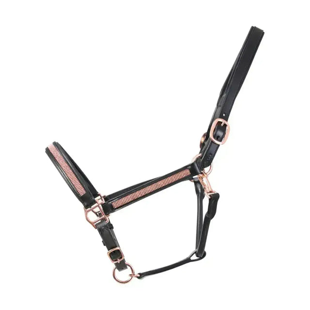 Black leather horse halter with rose gold hardware and pink beaded stripe from hy equestrian rosciano rose gold head collar