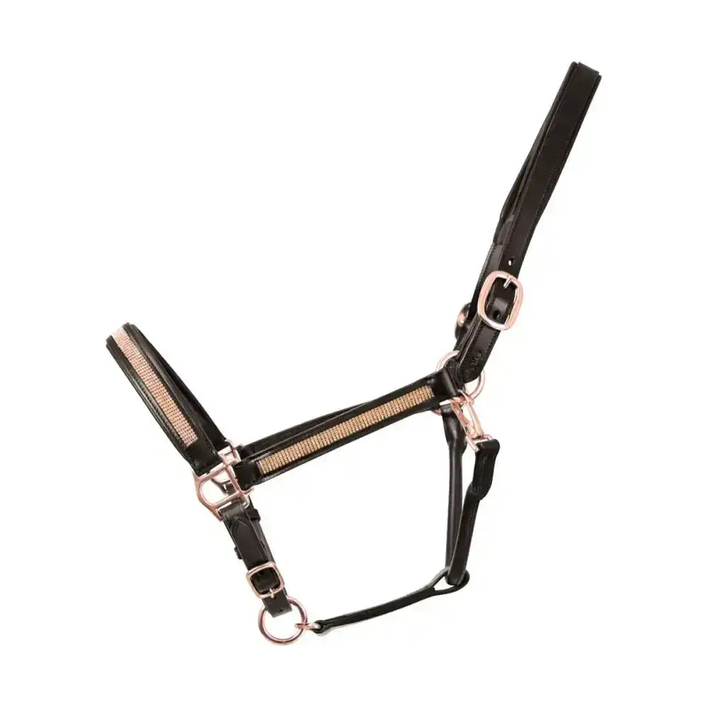 Black leather rosciano rose gold head collar with rose gold hardware and rhinestone trim by hy equestrian