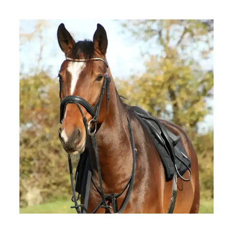 A brown horse with a white blaze wearing a black leather rose gold martingale from hy equestrian rosciano rose gold